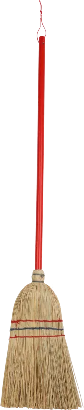 Kid's Rice Straw Broom