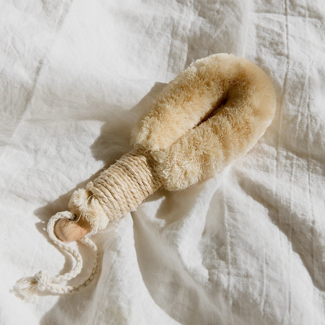 Body Brush with Handle