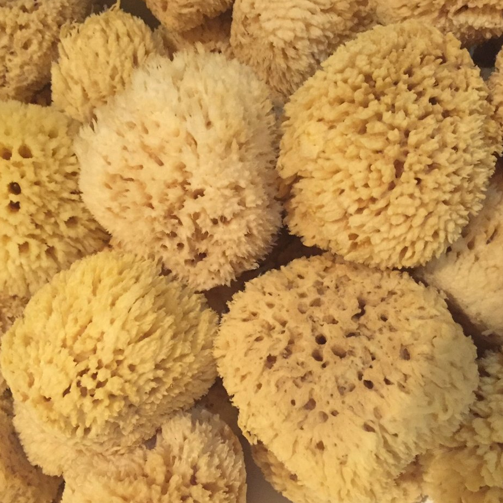 Natural Sea Wool Sponges