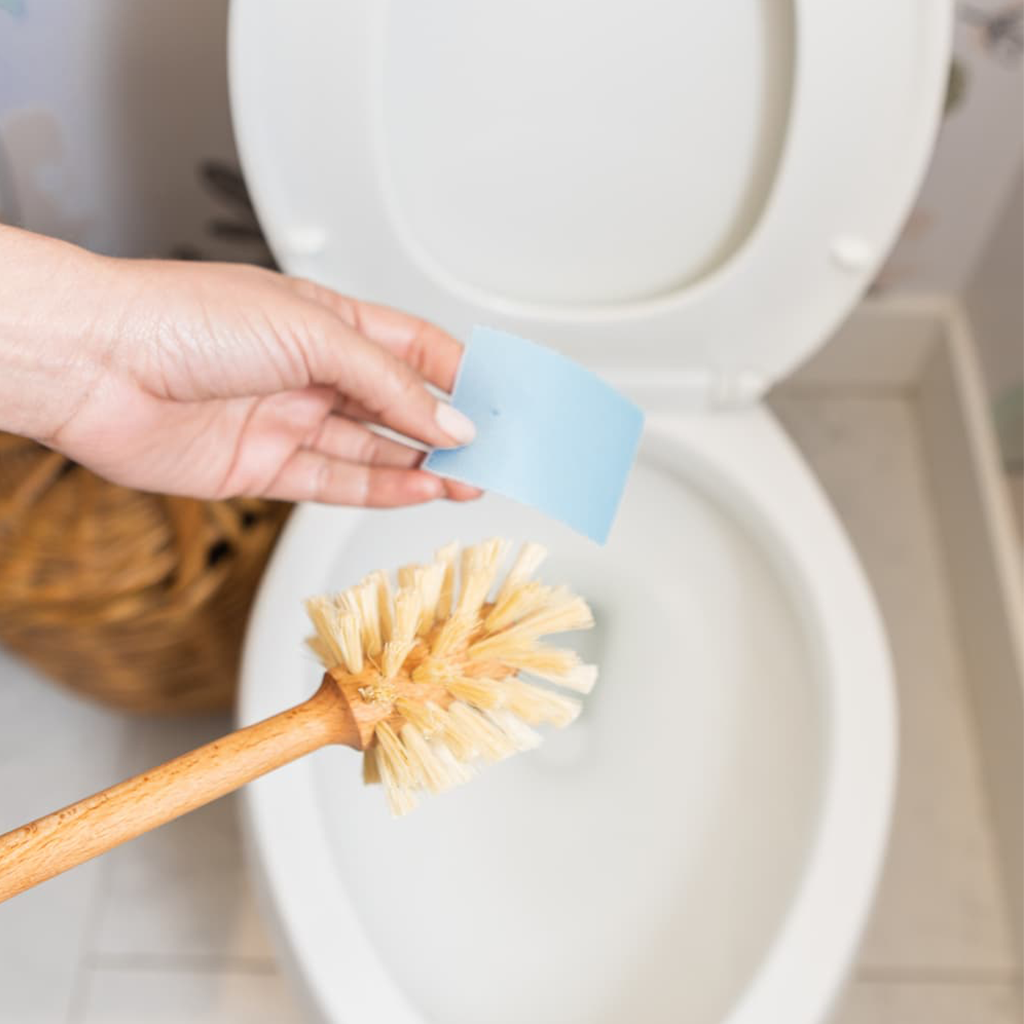 https://apublicshop.com/cdn/shop/products/TE-ToiletBowlStrips_Cleaning_1024x.png?v=1677094842